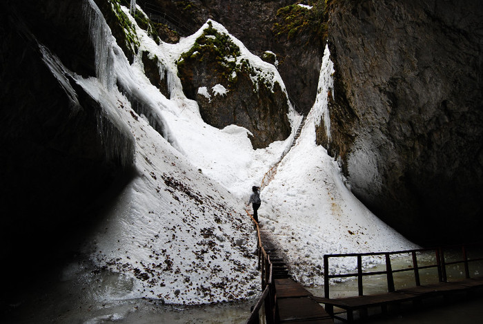 Ghetarul de la Scarisoara