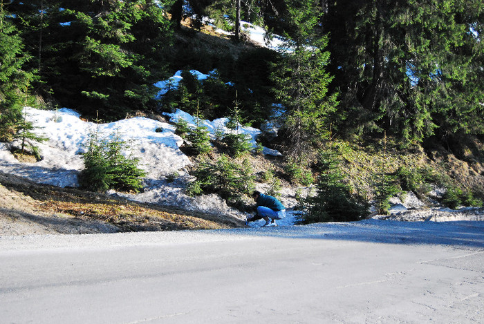 Parcul natinal Rodnei - Turul Romaniei