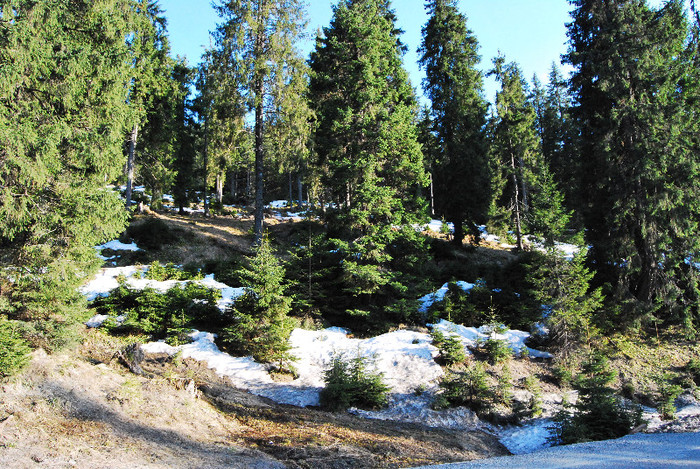 Parcul natinal Rodnei - Turul Romaniei
