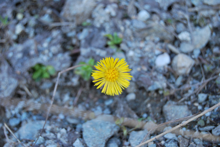 Parcul natinal Rodnei - Turul Romaniei