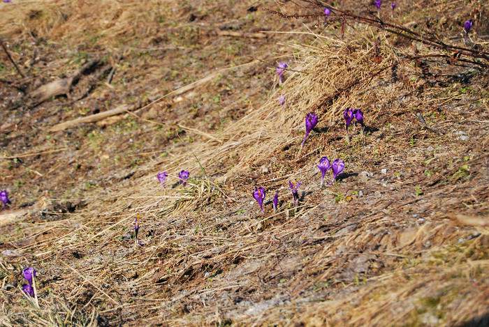 Parcul natinal Rodnei - Turul Romaniei
