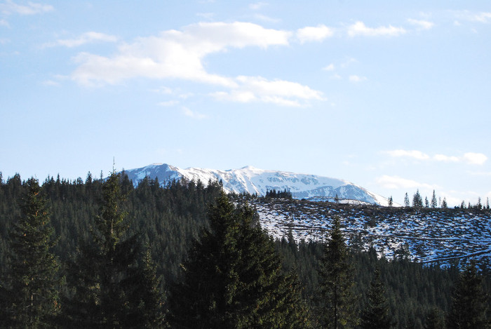 Parcul natinal Rodnei - Turul Romaniei