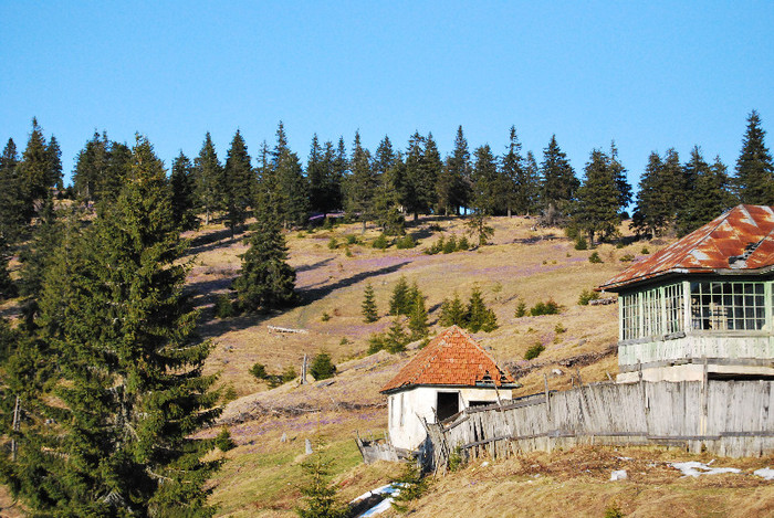 Parcul natinal Rodnei - Turul Romaniei