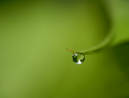 ___Droplet_wallpaper____by_Katosu