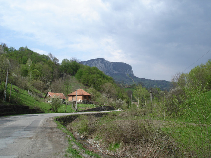 DSC01007