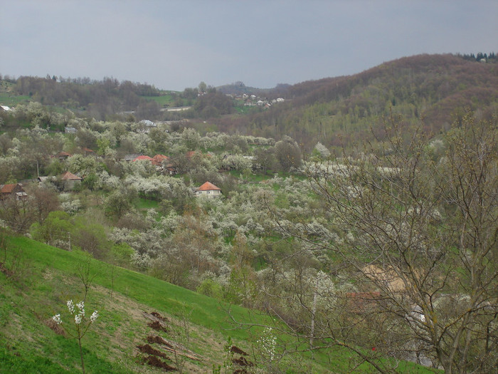 DSC01019