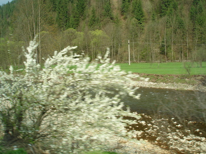 DSC01030