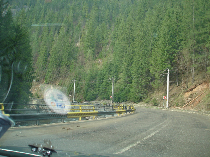 DSC01032
