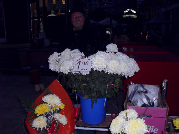 SDC13117 - de vanzare crizantemele familiei