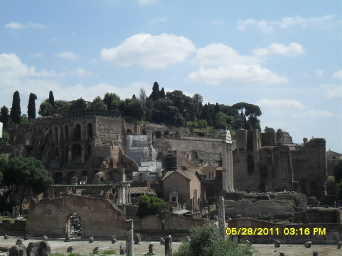 SDC12825 - roma 2011