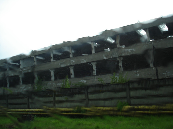 DSC01196
