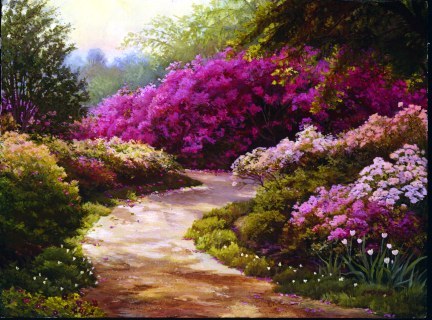 840602xm1b5deeu1 - POZE DESKTOP