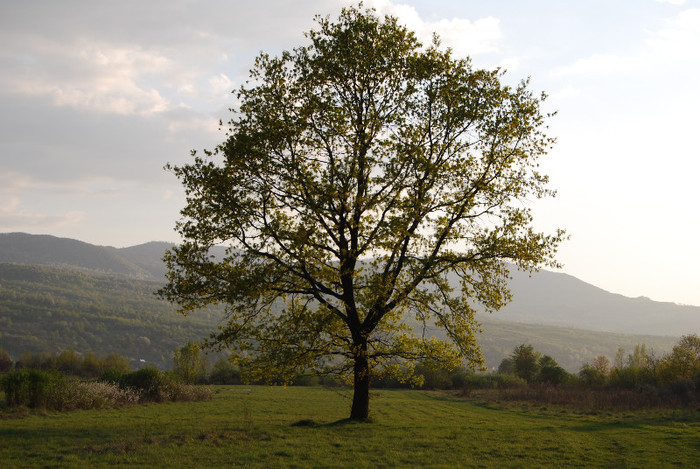 Concediu 2009 (1141)