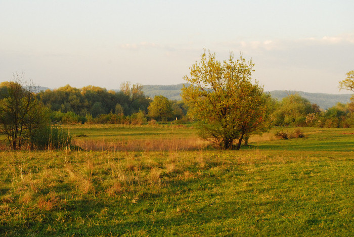 Concediu 2009 (1157) - Turul Romaniei