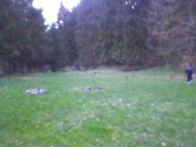 popasul valea lupului