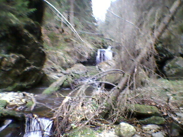 in drum spre saritoarea iedutului