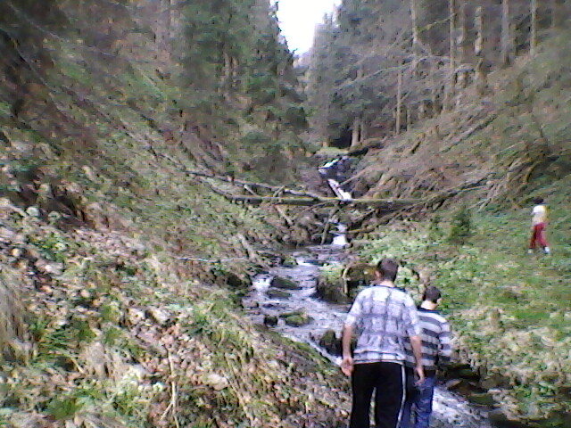 spre saritoarea iedutului