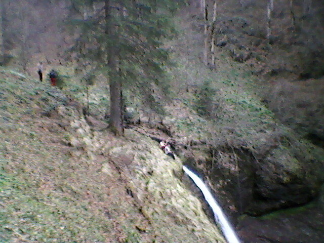 saritoarea iedutului 1