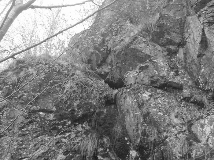 o fotografie retro a stancii - lacul lesu