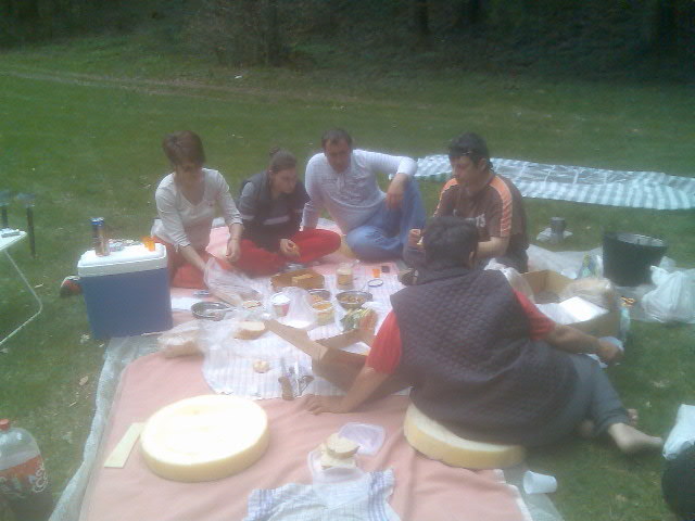 tot flamanzi si iar la masa