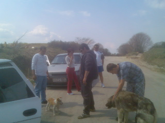 drumul crasna-salaj/ciucea-cluj