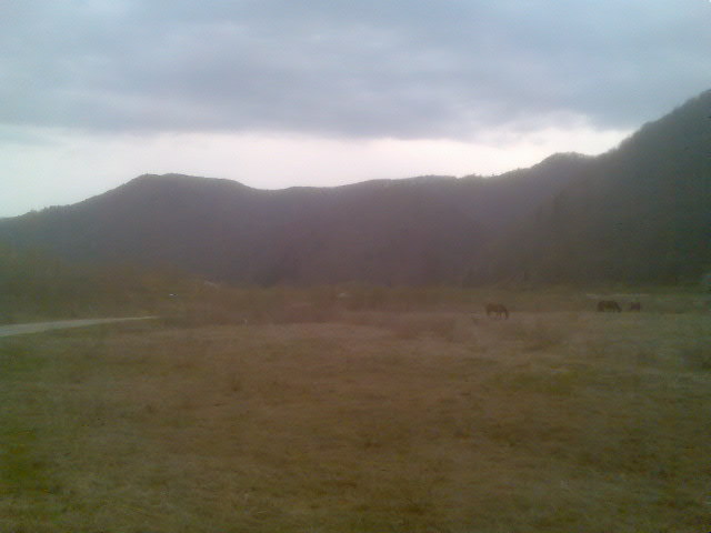 munti si nori la lesu