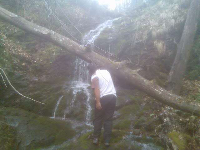 pe sub copac si o cascada