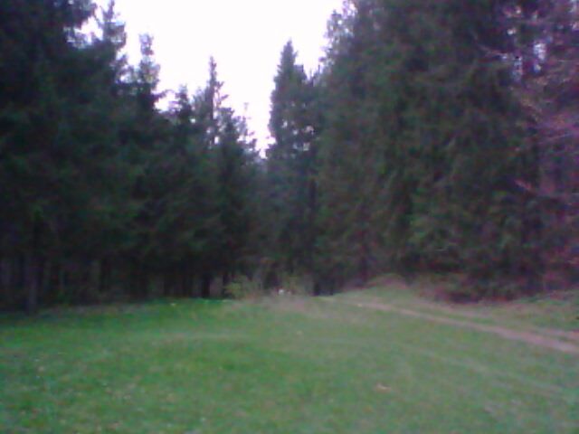 popasul valea lupului - lacul lesu