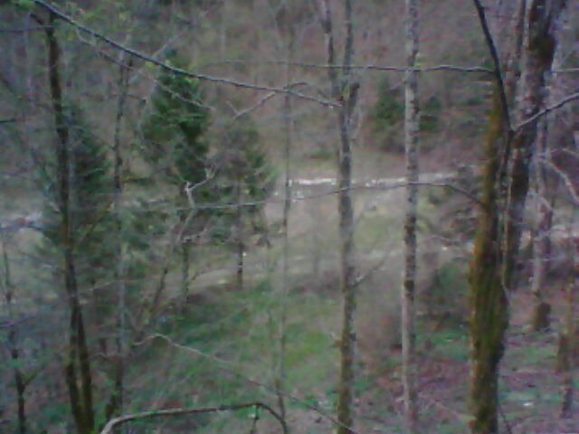 valea lupului de sus