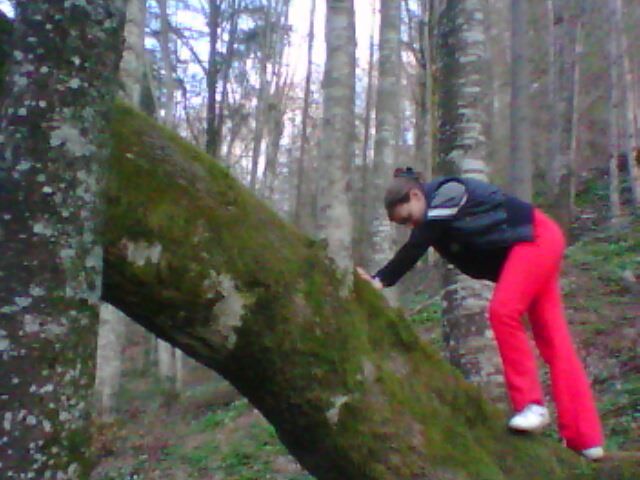 sus pe copac - lacul lesu