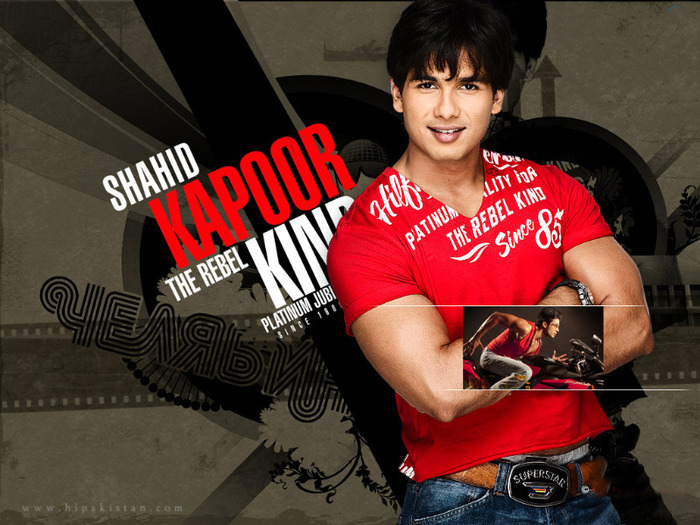 Shahid Kapoor pictures for your desktop - Shahid Kapoor