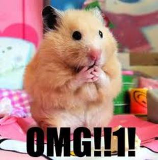 omg1