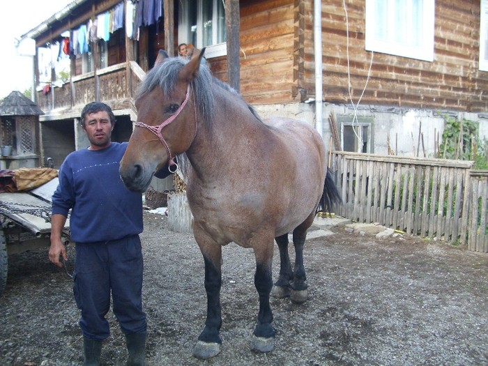 DSCI0956 - Semigreii lui Dunca din Maramures  Calinesti