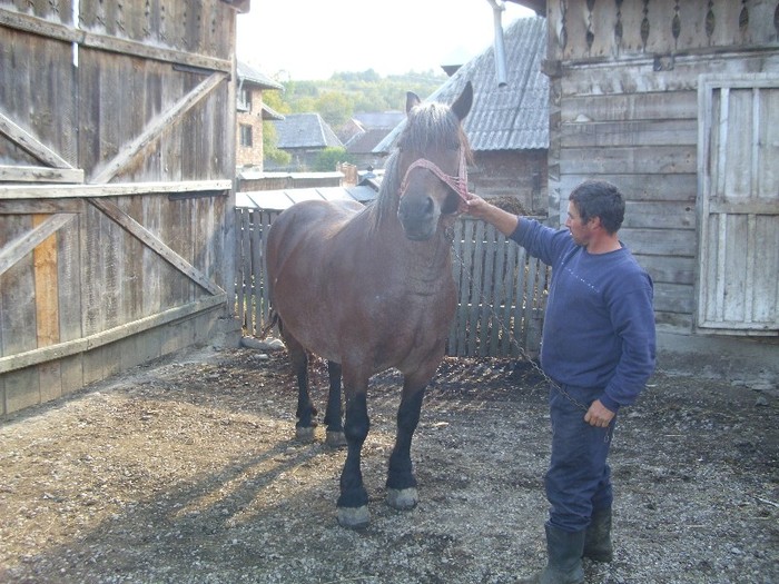 DSCI0960 - Semigreii lui Dunca din Maramures  Calinesti