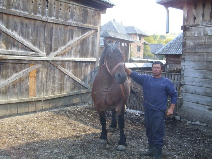 DSCI0965 - Semigreii lui Dunca din Maramures  Calinesti