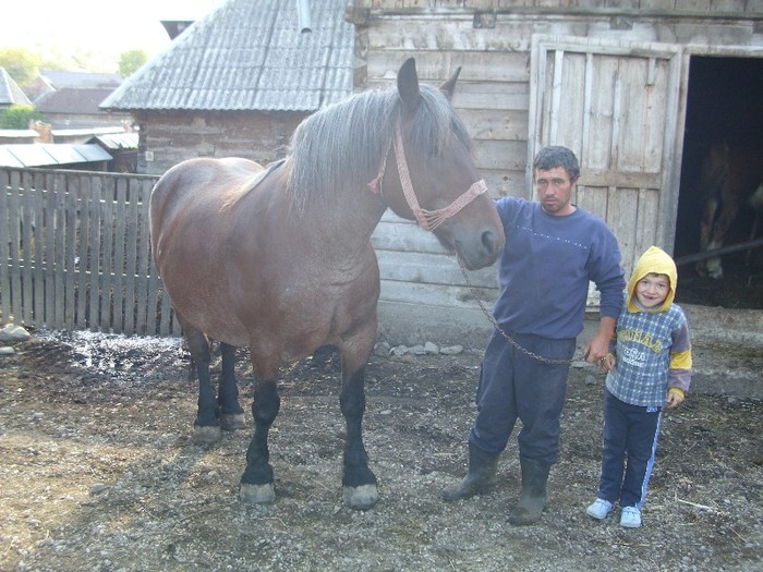 DSCI0966 - Semigreii lui Dunca din Maramures  Calinesti