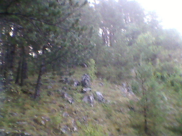 pe munte la suncuius 1 - suncuius 2011