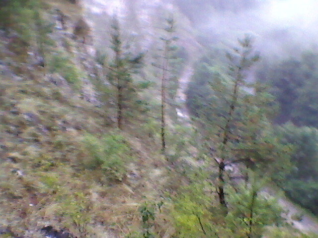 pe munte la suncuius 2 - suncuius 2011