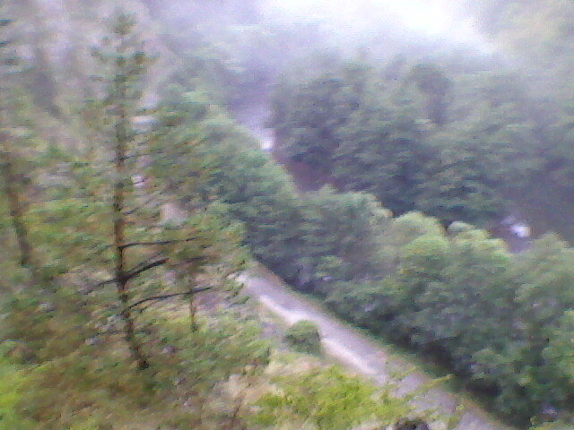 pe munte la suncuius 3 - suncuius 2011