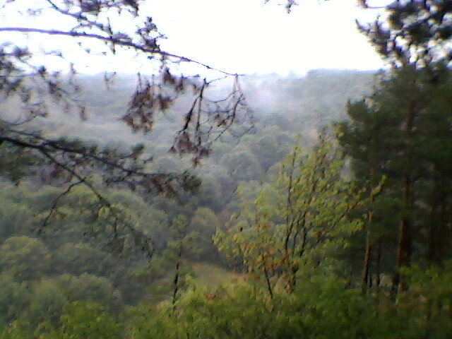 dimineata la suncuius 3