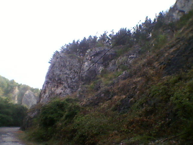 drumul spre pestera unguru mare 1