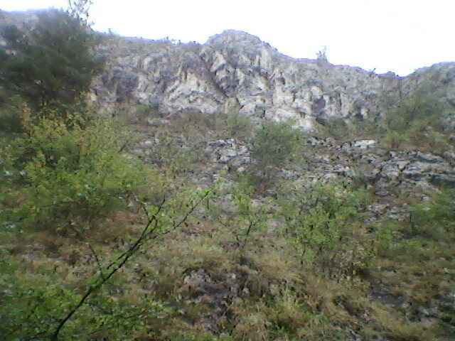 defileul crisului la suncuius 8