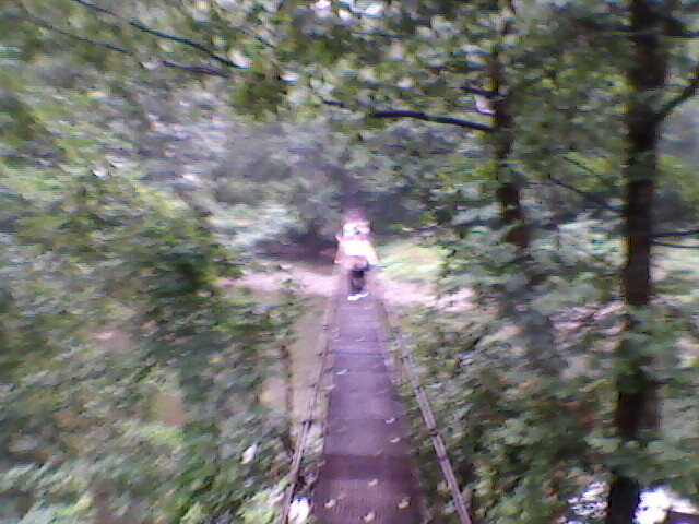 pod suspendat peste cris