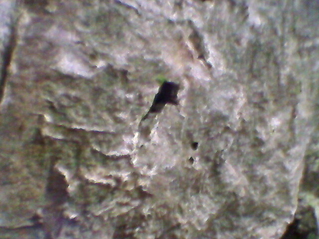 pestera unguru mare 1