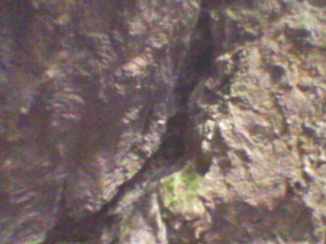 pestera unguru mare 6