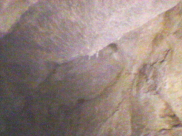 pestera unguru mare 10