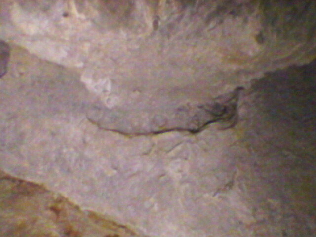 pestera unguru mare 11