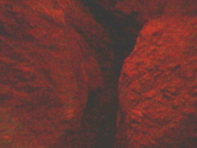 pestera unguru mare 21