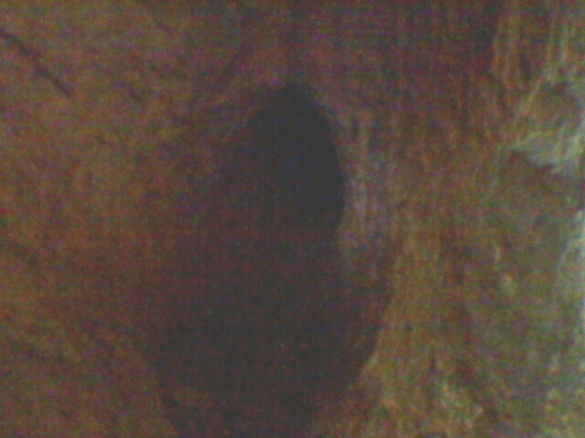 pestera unguru mare 26 - suncuius 2011