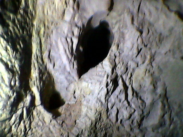 pestera unguru mare29 - suncuius 2011